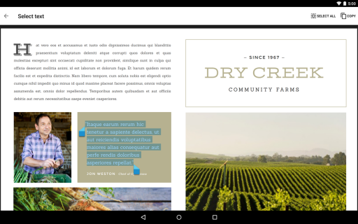 Google PDF Viewer İndir